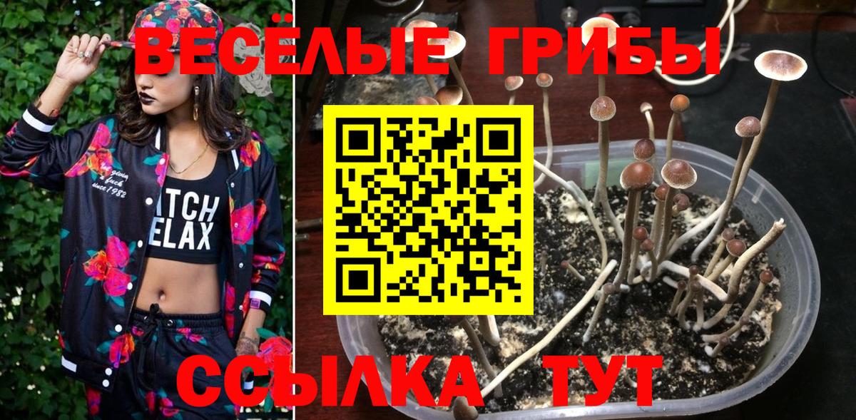 Галлюциногенные грибы мицелий  Вход с VPN  Каменск-Шахтинский 
